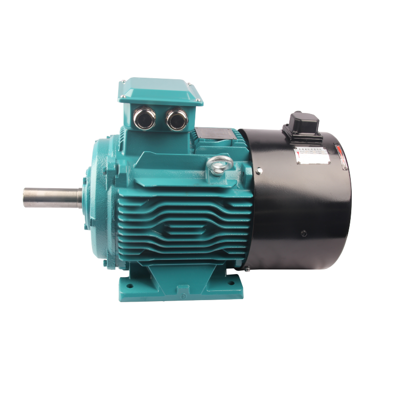 FLV series variable frequency three phase asynchronous AC motor